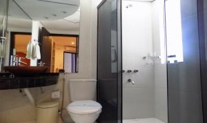Salle de bains dans l'établissement Danieri Asunción Hotel