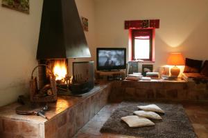 a living room with a fireplace and a tv at le refuge des pots rouges in Cros