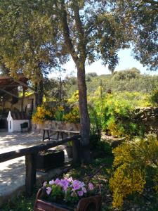 a picnic table and flowers in front of a tree at Valdolázaro in Los Navalucillos