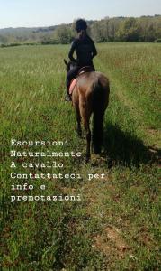 una mujer montando un caballo en un campo en Agriturismo Supramurgia, en Cassano delle Murge