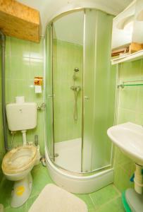 Koupelna v ubytování Apartment Tomašević