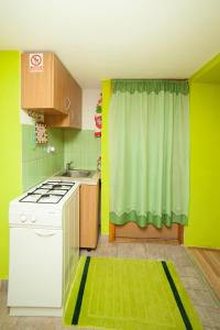 Kuchyň nebo kuchyňský kout v ubytování Apartment Tomašević