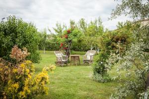 Zahrada ubytování Apartment Tomašević