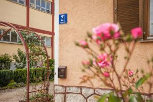 Zahrada ubytování Apartment Tomašević