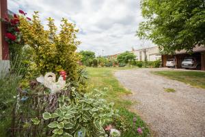 Zahrada ubytování Apartment Tomašević