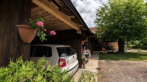 Zahrada ubytování Apartment Tomašević