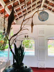 Zahrada ubytování Casa Del Ceylon