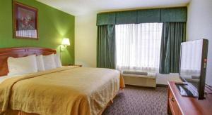 a hotel room with a bed and a television at Quality Inn & Suites Airport in Austin