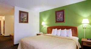 a hotel room with a large bed with green walls at Quality Inn & Suites Airport in Austin