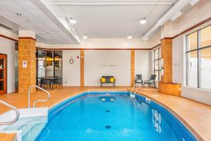 Bazén v ubytování Quality Inn & Suites nebo v jeho okolí