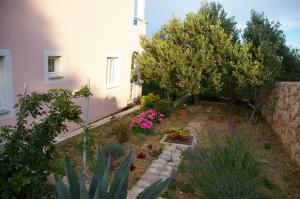 a garden with flowers and plants in front of a building at Apartments T&C in Drage