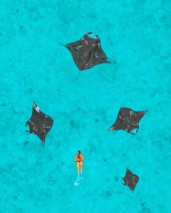 Фотография из галереи NH Collection Maldives Reethi Resort на Атолле Баа