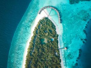 Фотография из галереи NH Collection Maldives Reethi Resort на Атолле Баа