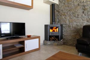 a fireplace in a living room with a tv and a fire at Casa Rural Primorena Txiki in Linzoáin