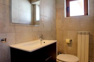 y baño con lavabo, aseo y espejo. en Casa Rural Primorena Txiki, en Linzoáin