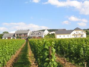 Gallery image of Pension und Weingut Moselblick in Brauneberg