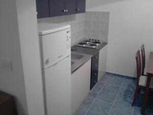 Kuchyňa alebo kuchynka v ubytovaní Studio Apartments Izabela