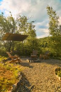 two benches and a picnic shelter in a park at Dobrede - будиночки під лісом in Dubrinich na Beregu