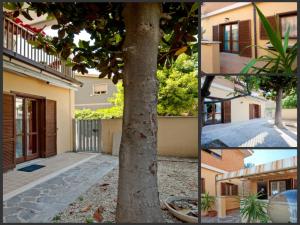 un collage de fotos de una casa y un árbol en B&B La Casetta, en Ladispoli