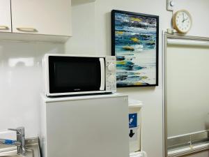 a tv sitting on top of a refrigerator with a painting at 池袋1F 2bedrooms Suite Cozy for 1-4 guests in Tokyo