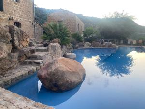 a swimming pool with a large rock and blue water at Antico Borgo Buonanotte in San Mauro Castelverde