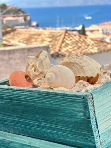 Φωτογραφία από το άλμπουμ του Hydrangea στην Ύδρα