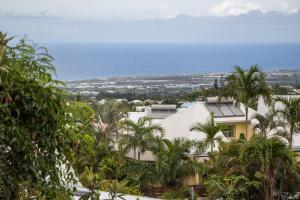 a view of a building with palm trees at Chambres d'hôtes & spa Le Jardin de Ravintsara in Ravine des Cabris