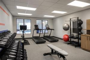 Fitness centrum a/nebo fitness zařízení v ubytování Hampton Inn & Suites Moline-Quad City Int'l Aprt