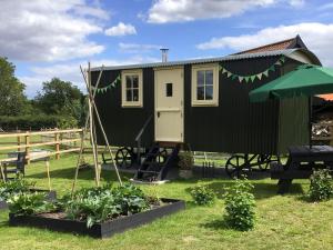 Zahrada ubytování Beeches Shepherd Hut