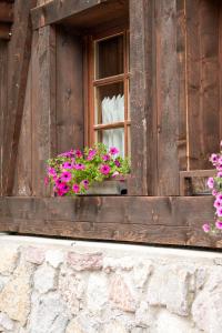 Fotografie z fotogalerie ubytování Alpine B&B v destinaci Plangeross