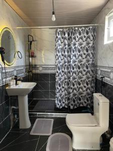 a bathroom with a sink and a toilet and a shower at Nomad place - horse riding tour Son-Kul in Dzhangyaryk
