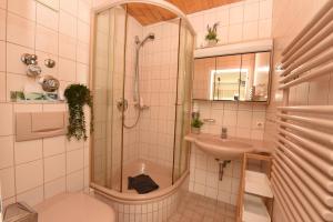 a bathroom with a shower and a sink at Ferienwohnung Lavendel in Oberstdorf