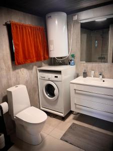 a bathroom with a toilet and a sink and a washing machine at Hytte på Norefjell in Surteberg