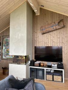 a living room with a large flat screen tv on a wall at MYLLA - New cabin - Sauna - Hike - Bike - Canoe- Fishing in Jevnaker