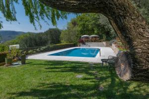 a swimming pool in a yard next to a tree at Beautiful villa with private garden and pool in Costermano sul Garda