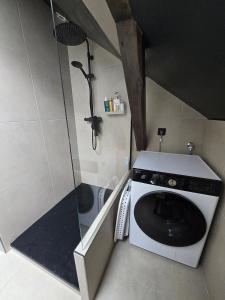 a bathroom with a shower and a washing machine at Duplex sous les toits d'Alsace in Dannemarie