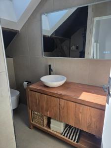 a bathroom with a sink and a mirror at Duplex sous les toits d'Alsace in Dannemarie