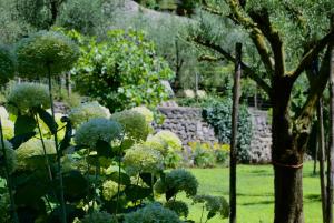 Gallery image of Appartamento i Sentieri 29c in Dro