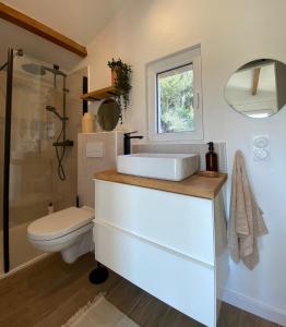 a bathroom with a sink and a toilet and a mirror at Maisonnette cosy à la campagne in Céret +14 photos