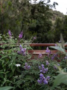 Phong cảnh thiên nhiên gần khách sạn