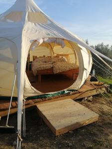 Φωτογραφία από το άλμπουμ του Stargazer - Glamping Maremma, Toscana σε Roccastrada