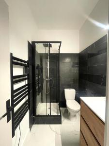 a bathroom with a shower and a toilet and a sink at Appartement hyper-centre Rodez in Rodez