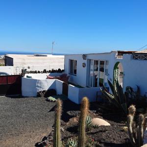 a white house with cacti in front of it at Casita De Gato in Tahiche