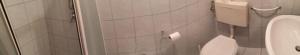 a bathroom with a toilet and a shower at Green Sea View Apartment in Premantura