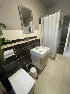 a bathroom with a sink and a toilet and a mirror at Ferienhaus am Ruppiner See in Neuruppin