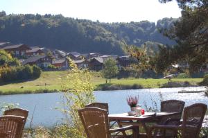 a table and chairs sitting next to a lake at Holunder nah am Waldsee 2 in Rieden