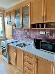 Η κουζίνα ή μικρή κουζίνα στο Apartmán Fialka