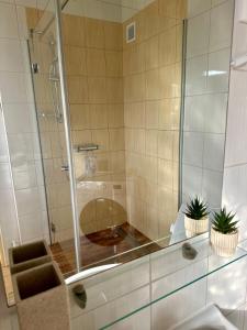 Ένα μπάνιο στο Apartmán Fialka