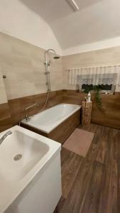 a large bathroom with a tub and a sink at Apartmán u BaFi in Plavy +8 photos