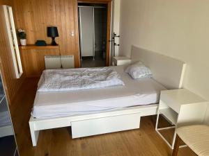 Postel nebo postele na pokoji v ubytování Appartment Emosson